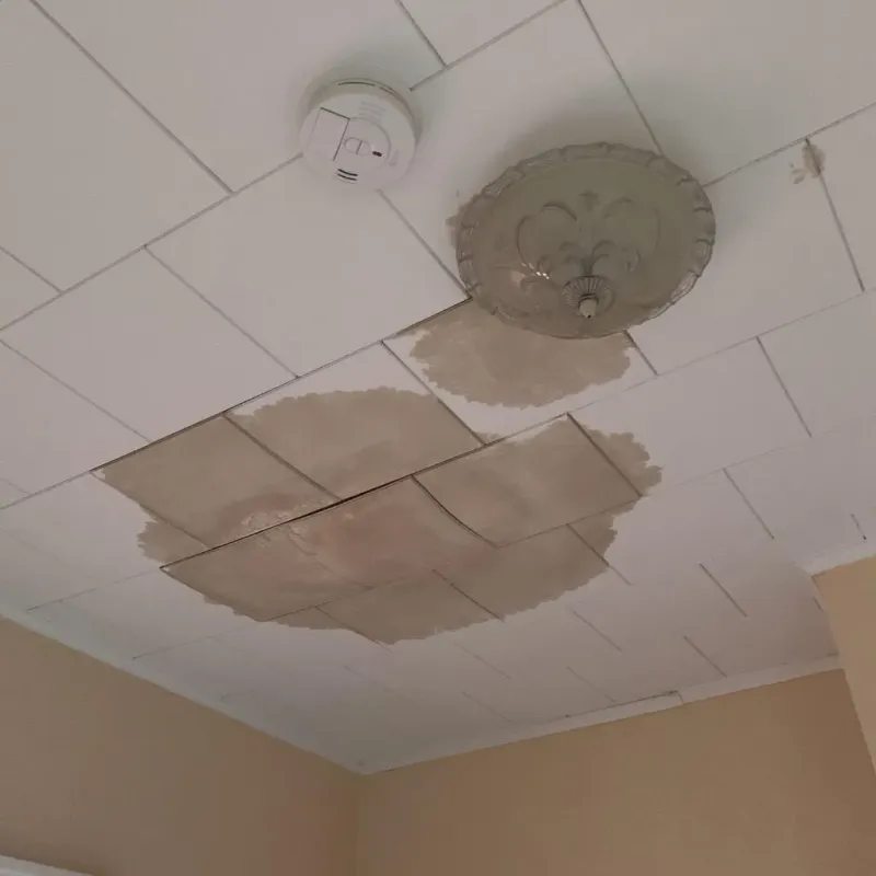 Ceiling Water Damage Repair in Wyndham, VA