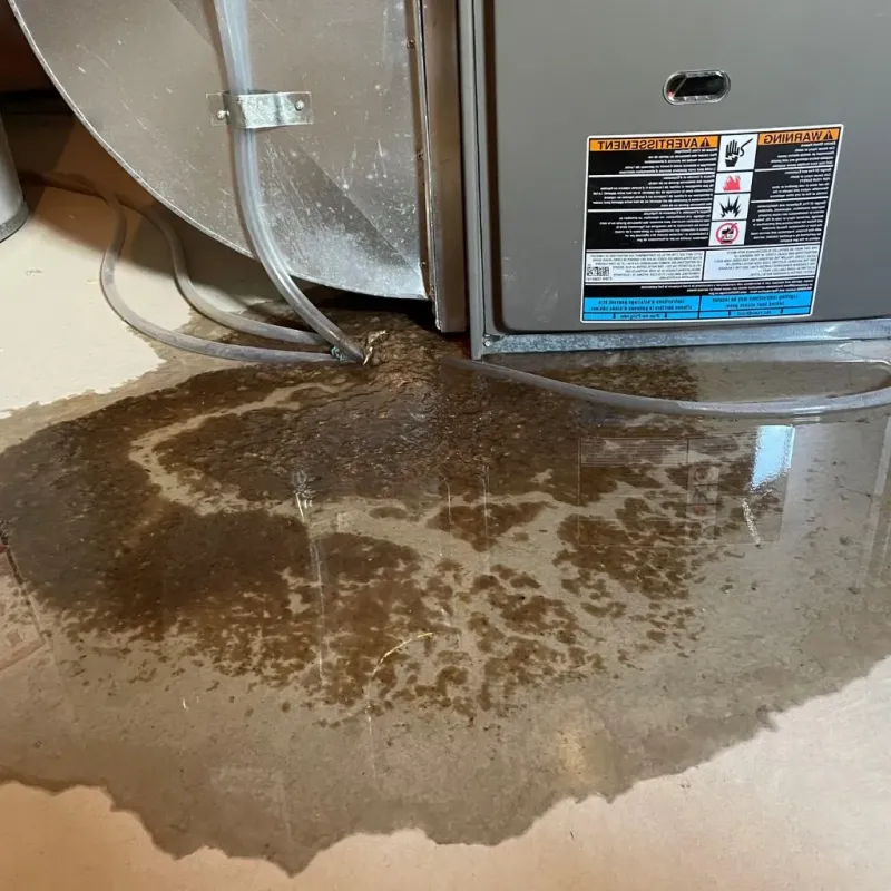 Pipe Burst and Leak Restoration in Wyndham, VA