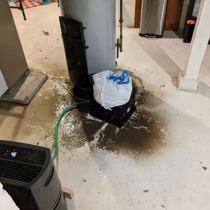 Sewage Backup Cleanup Service in Wyndham, VA
